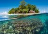Du lịch đảo Sipadan – chinh phục hòn đảo đẹp nhất Malaysia Du lịch đảo Sipadan - chinh phục hòn đảo đẹp nhất Malaysia